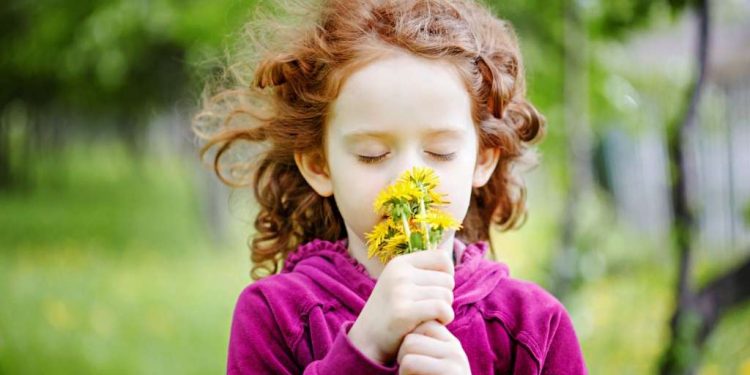 د شامعې حس او د ښځو پر اړیکو یې اغېز!