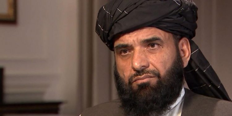 شاهین: ځینې کړۍ هڅه کوي د سولې خبرې ناکامې کړي