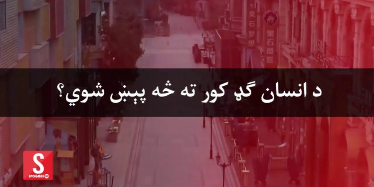 کرونا؛ د انسان ګډ کور ته څه پیښ شوي؟