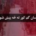 کرونا؛ د انسان ګډ کور ته څه پیښ شوي؟