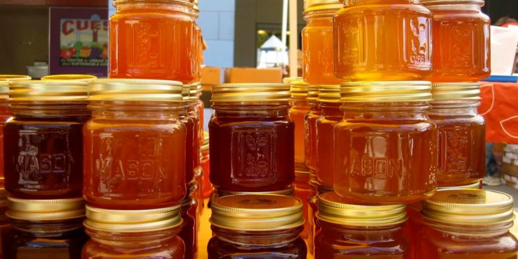 کرنې ریاست: روان کال په کندهار کې د شاتو تولید ۲۶ ټنو ته رسېدلی