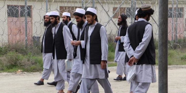 د طالب بندیانو د آزادېدو لړۍ؛ سل نور طالب بندیان هم خوشي شول