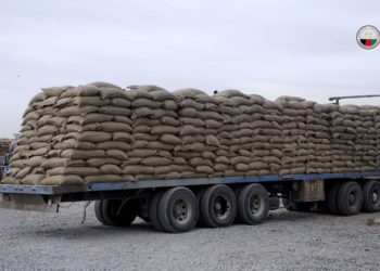 هند افغانستان ته زرګونه ټنه غنم صادروي