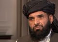 سهیل شاهین: افغان حکومت د بین الافغاني خبرو د پیل لپاره خنډونه جوړوي