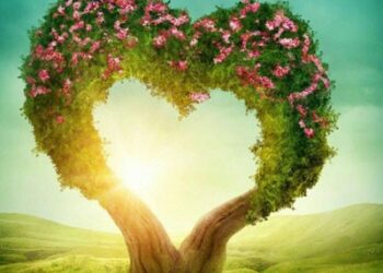 دغه وړې سپارښتنې مو ژوند رنګینوي