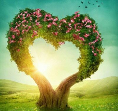 دغه وړې سپارښتنې مو ژوند رنګینوي