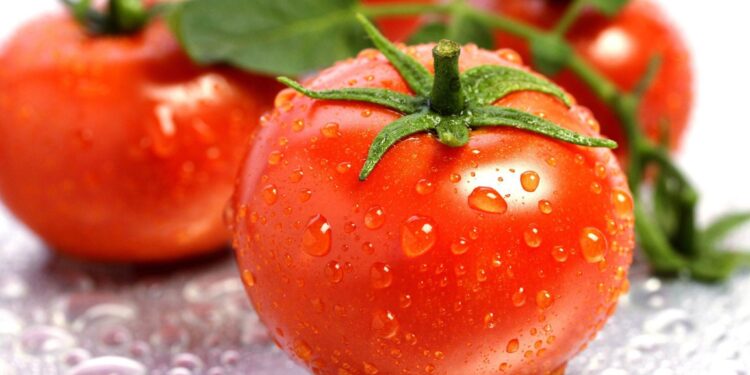 روژه او د رومي بانجانو ګټې