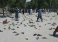 د ننګرهار په پرونۍ پېښه کې ۱۶۵ تنو ته مرګ ژوبله اوښتې