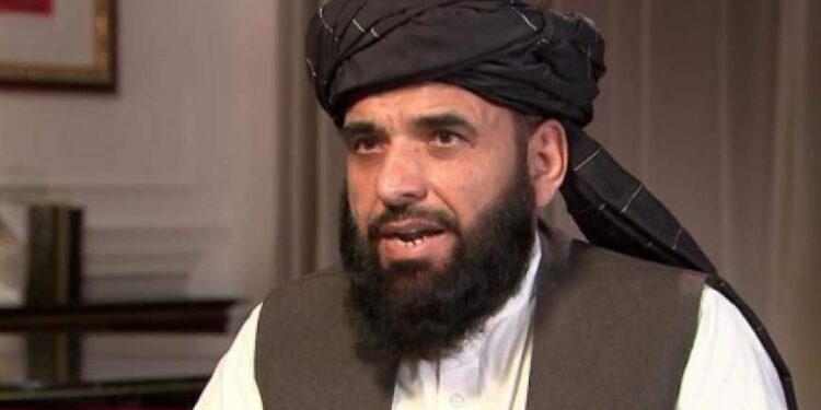 شاهین: ایراني چارواکو له طالبانو سره د لیدنې غوښتنه کړې