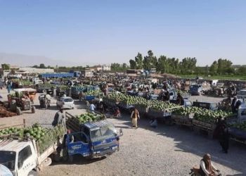 کرنې وزارت: سږکال به د فراه هندوانو حاصلات ۶۸۹ زره ټنو ته ورسېږي