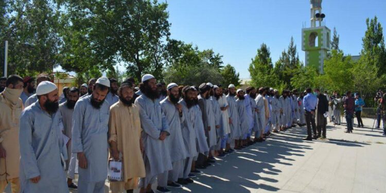 حکومت ۱۰۰۰ تنه نور طالب بندیان خوشې کوي