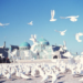 بلخ کې د روضې سلګونه کوترې له لوږې مړې شوې دي