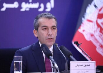 صدیقي: د ملکي تلفاتو اصلي عامل طالبان دي
