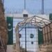 د دور بابا اوسیدونکي: حکومت دې پاکستاني دروازه ونړوي،کنه خپله به لاس په کار شو