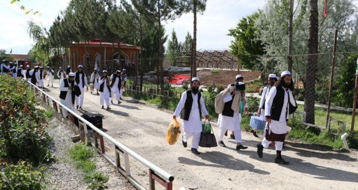سهیل شاهین: حکومت پر خوشي شوو طالبانو چاپې وهي او نیسي یې