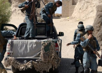 سیګار: جنوبي ولایتونو کې ۵۰ سلنه پولیس په نشه يي توکو روږدي دي