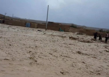 وردګو کې سیلابونو؛ ۵۱۹ کورونه ویجاړ کړي، درې تنه مړه او څلور ماشومان نادرکه دي