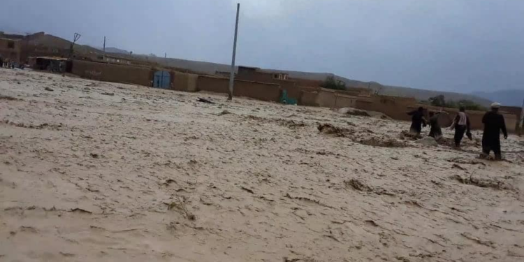 وردګو کې سیلابونو؛ ۵۱۹ کورونه ویجاړ کړي، درې تنه مړه او څلور ماشومان نادرکه دي