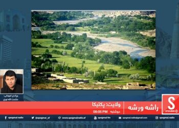 راشه، ورشه خپرونه /  پکتیکا ولایت