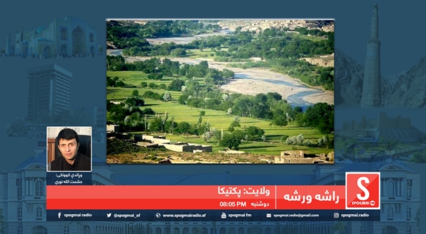راشه، ورشه خپرونه / پکتیکا ولایت