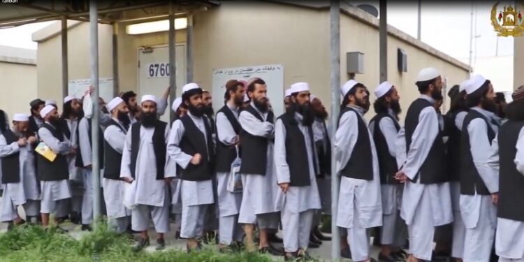 طالبان: یوه داعشي ډله د حکومت په مرسته د سولې بهیر ګډوډوي