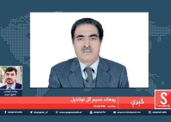 څېرې خپرونه / د کابل پوهنتون استاد پوهاند نسیم گل توتاخیل