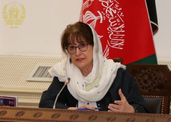 دیبرا لاینز: نړیوال دې د بیا رغونې لپاره خپلې ژمنې تازه کړي
