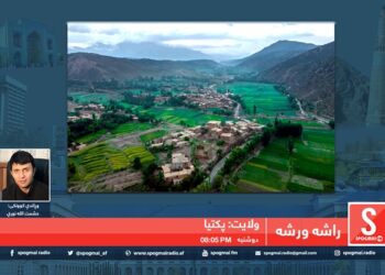 راشه، ورشه خپرونه /پکتیا ولایت