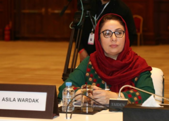اصیلا وردګ؛ د اسلامي همکاریو سازمان د بشري حقونو د کمیسیون کمېشنره ټاکل شوې