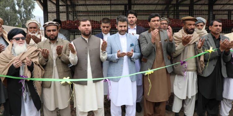 کرنې وزارت: په ننګرهار کې د پیازو او کچالو ۳۹۷ زېرمتونونه ګټې اخیستنې ته وسپارل شول