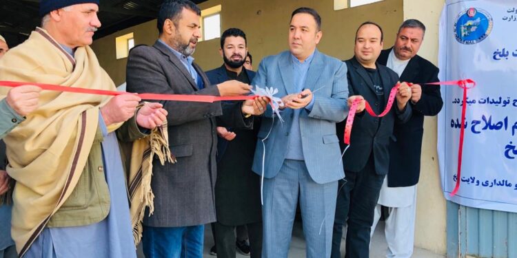 کرنې ریاست: په بلخ کې پر ۱۸زره او ۵۰۰ بزګرانو د غنمو اصلاح شوي تخمونه وېشل کېږي