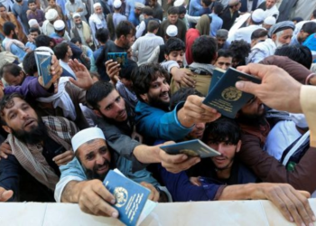 عمر داوودزی: پاکستان د وېزو په وېش کې اسانتیا راولي