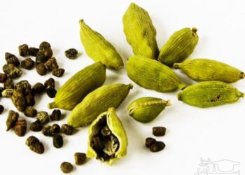 هېل او روغتیايي ګټې یې
