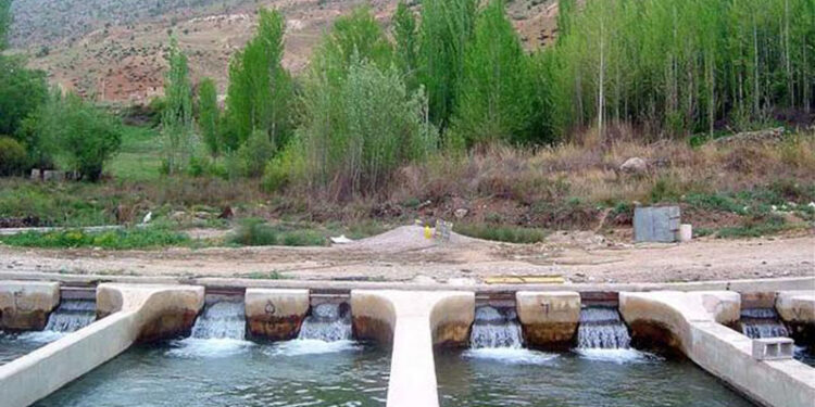کرنې وزارت: روان کال په ټول هېواد کې د کبانو د روزنې ۳۵۰ فارمونه جوړ شوي
