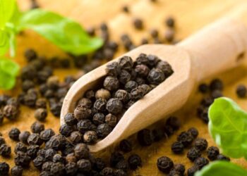 تور مرچ او معدې ته یې ګټې