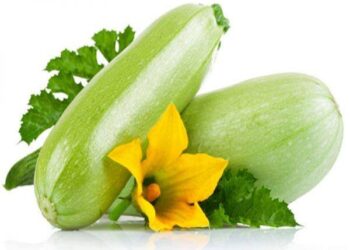 کدو؛ شین رنګه سبزي او ګټې یې