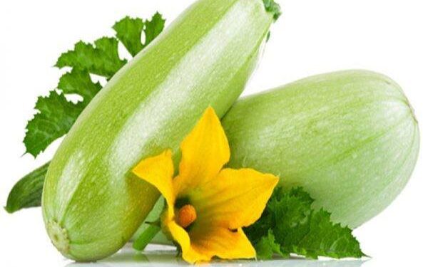 کدو؛ شین رنګه سبزي او ګټې یې