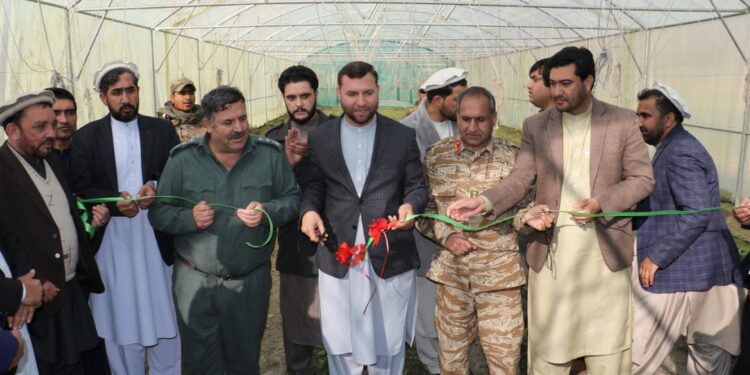 ساپی: په ننګرهار کې د ۸.۲ میلیونه افغانیو په لګښت ۱۵ شنې خونې ګټې اخیستنې ته وسپارل شوې