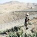 پاکستان: افغانستان او ایران سره پر کرښه امنیتي تدابیر زیاتوو