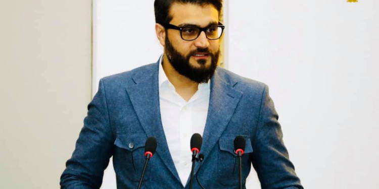 محب: د طرحې تر؛ مطرح کېدو مخکې د سولې ټینګښت تضمین غواړو