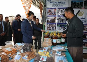د افغاني تولیداتو پر وړاندې خنډونه او فرصتونه