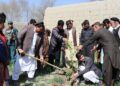 کرنې وزارت: په ننګرهار کې د ۹۲۲ جریبه عادي او متراکمو بڼونو چارې پیل شوې