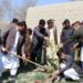 کرنې وزارت: په ننګرهار کې د ۹۲۲ جریبه عادي او متراکمو بڼونو چارې پیل شوې