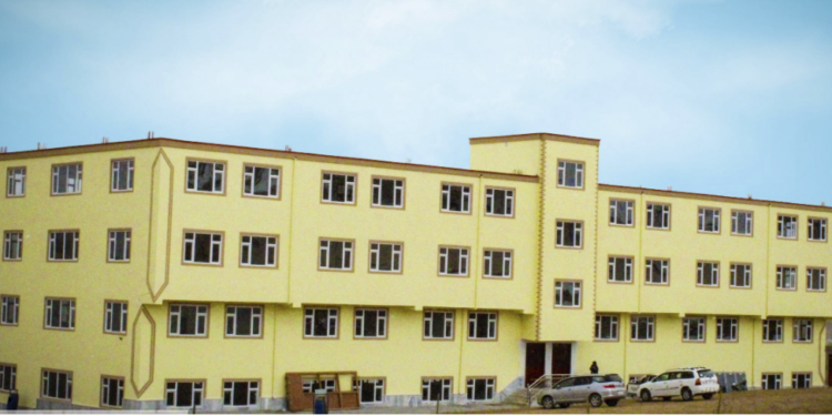 بامیکا د لوړو زده‌کړو موسسه