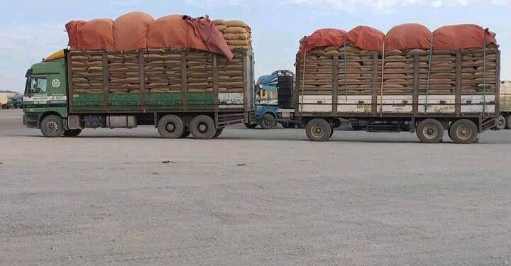 پر روڼتیا د څار بنسټ: په ګمرکونو کې فساد په پلان شوې توګه روان دی