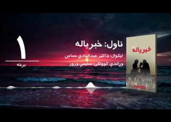 د شپې داستان خپرونه | خبریاله ناول | لیکوال: ډاکټر عبدالهادي حماس | لومړۍ برخه