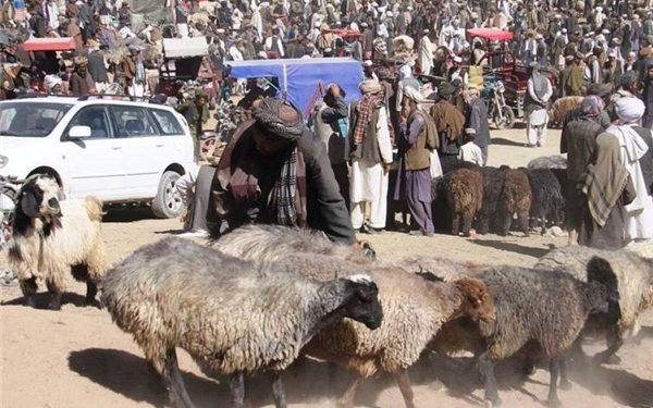 عامې روغتیا وزارت: خلک دې په اختر کې روغتیايي سپارښتنو ته پاملرنه وکړي