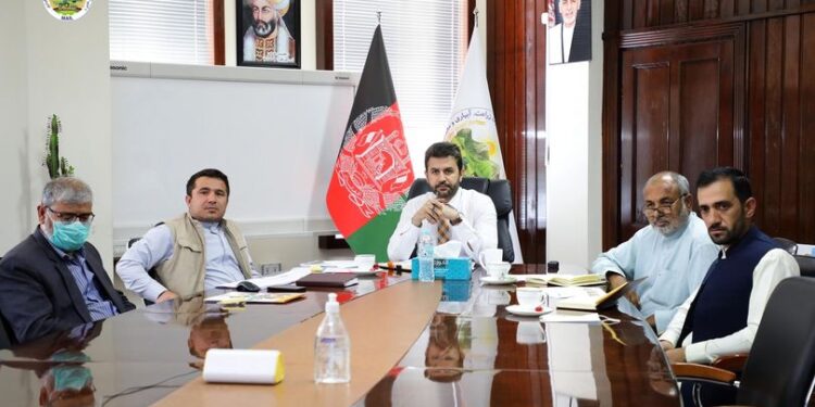 نړیوال بانک؛ افغانستان سره د کرنې برخه کې۵۷.۵ میلیونه ډالره مرسته وکړه