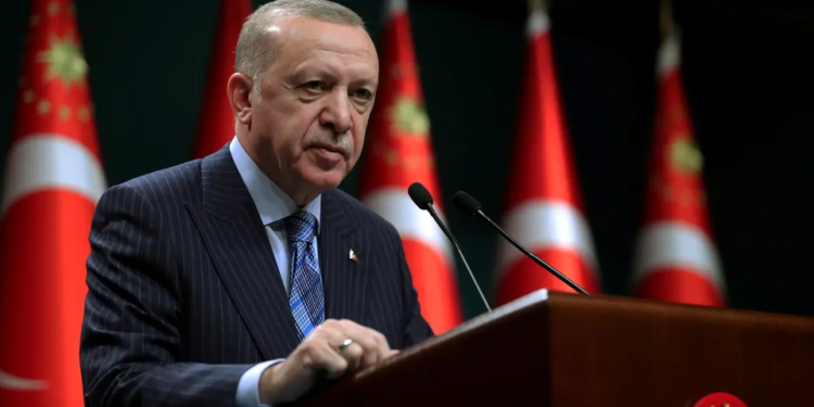 اردوغان: افغانستان سره هر راز مرستې او همکارۍ ته چمتو یو