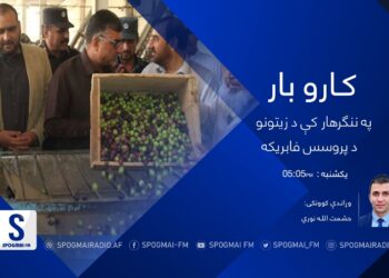 کاروبار خپرونه|  ننګرهار کې د زیتونو د پروسس فابریکه